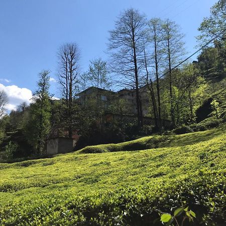 Can Butik Otel Ardesen Bagian luar foto