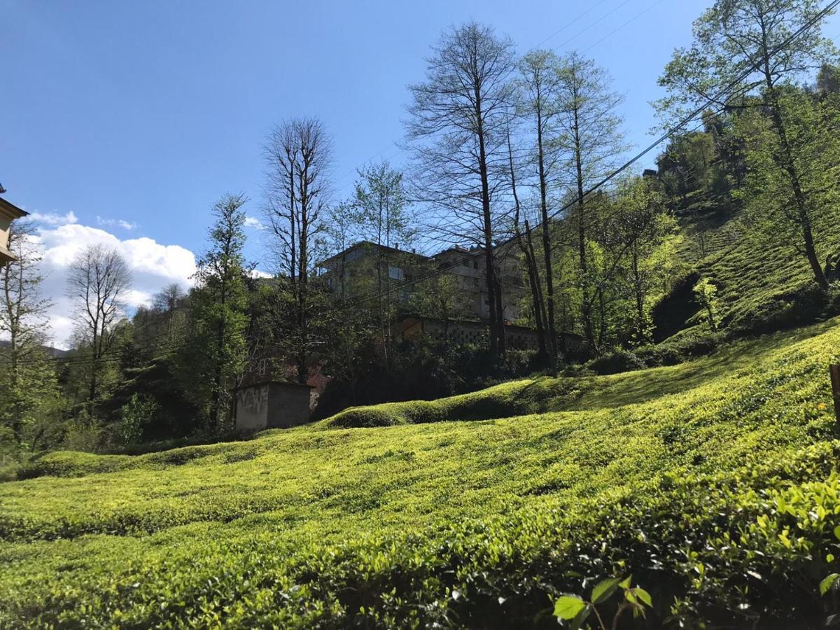 Can Butik Otel Ardesen Bagian luar foto